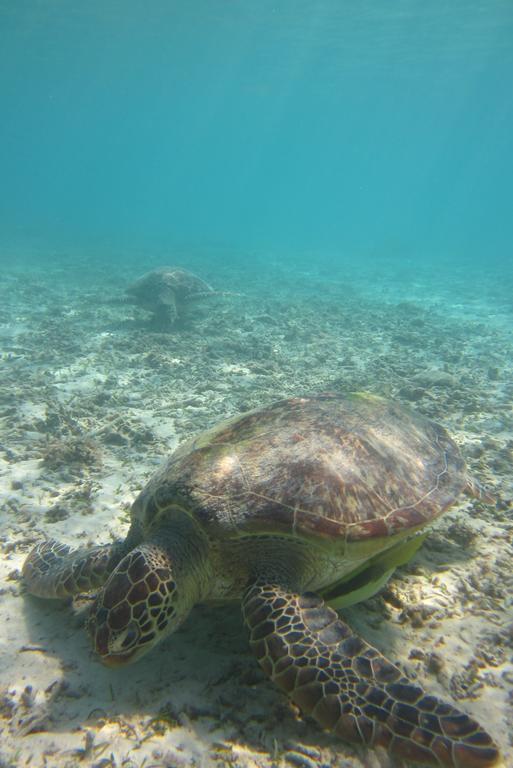 טוקאשיקי Tokashiku Marine Village מראה חיצוני תמונה